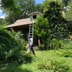 🪓🌲Tree Service 🌲🪓Lawn Service 🍂🍃Clean Ups🍃🍂Landscaping (Austin and surrounding cities)